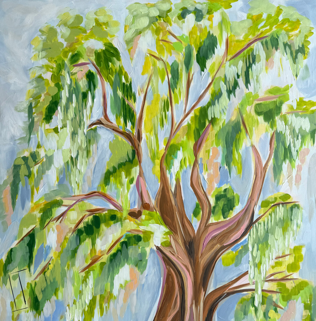 Live Oak on a Sunny Day