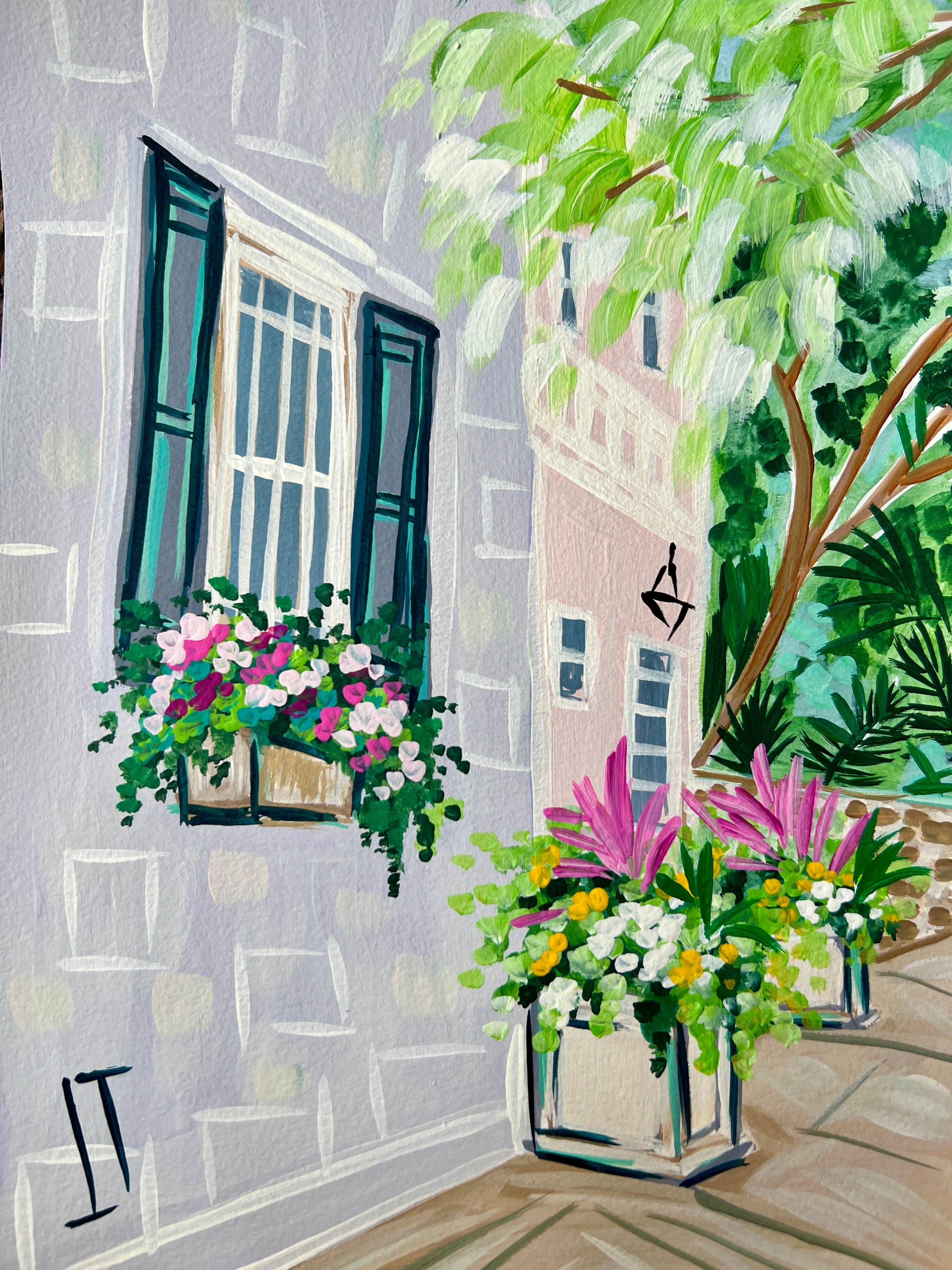Spring Windowboxes
