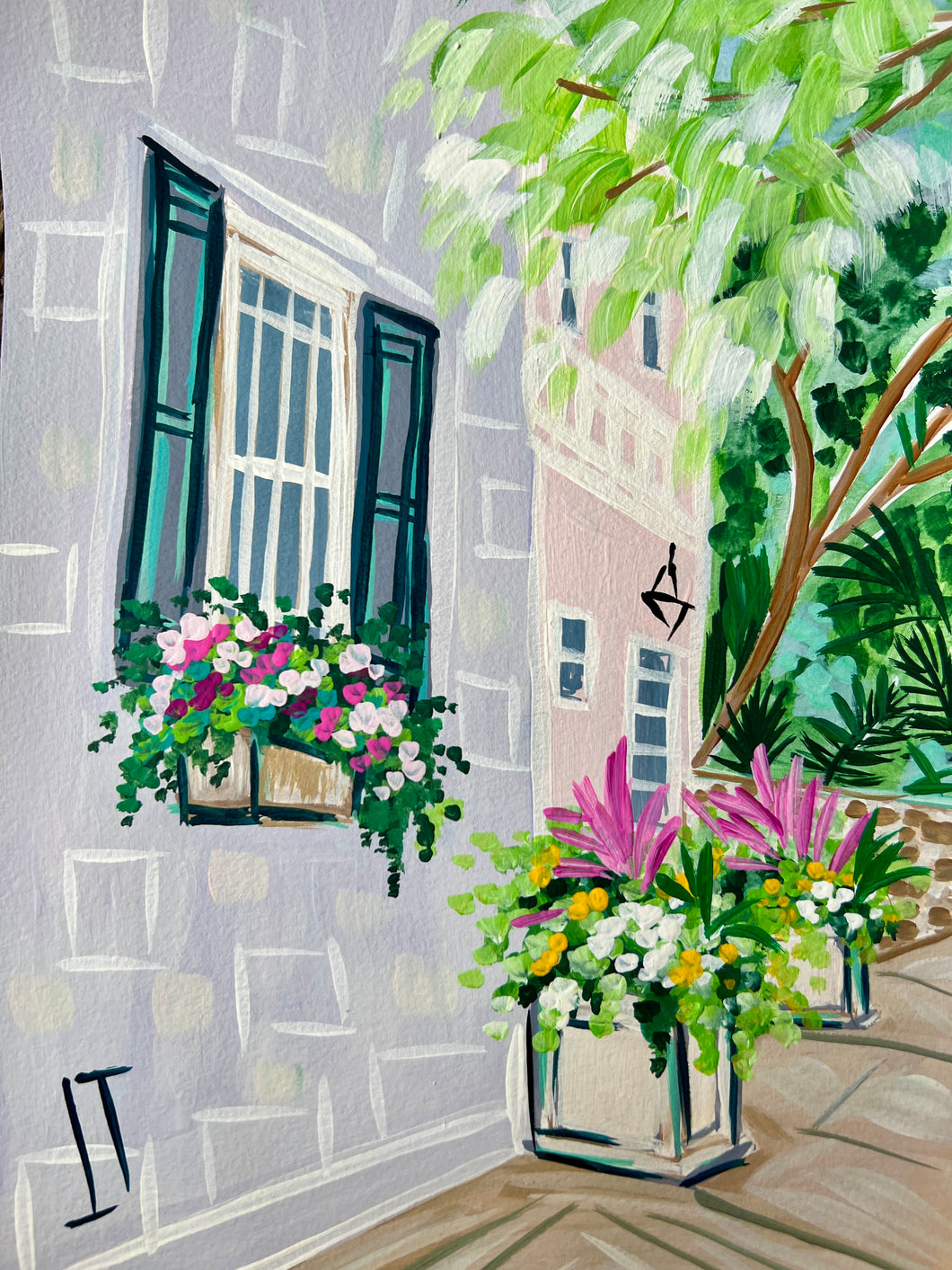 Spring Windowboxes