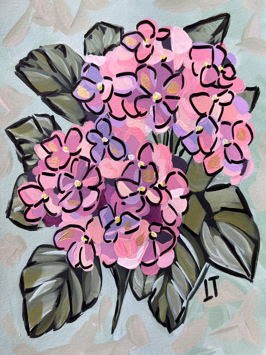 Hydrangea Blooms