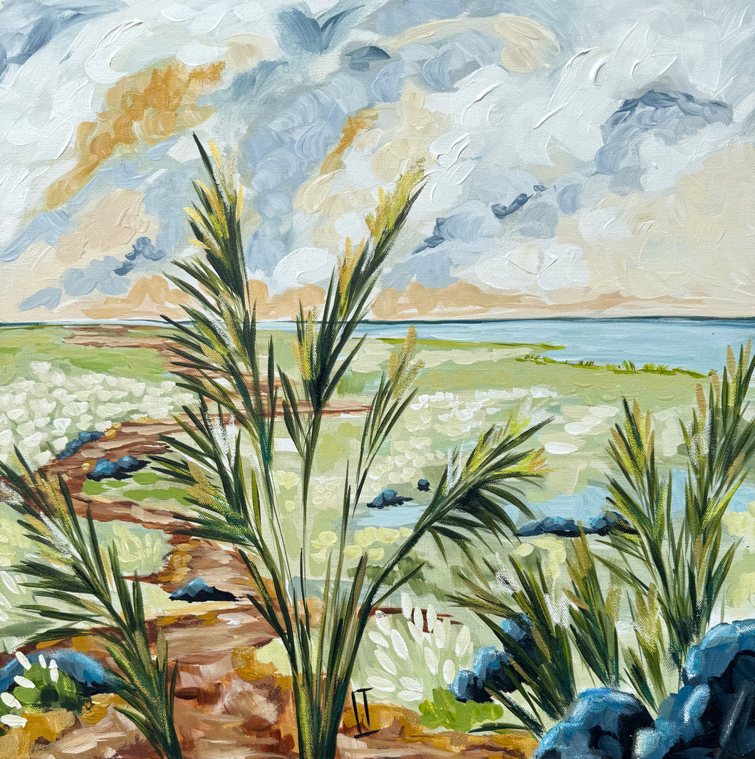 Sea Grasses and Open Skies