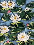 Water Lilies