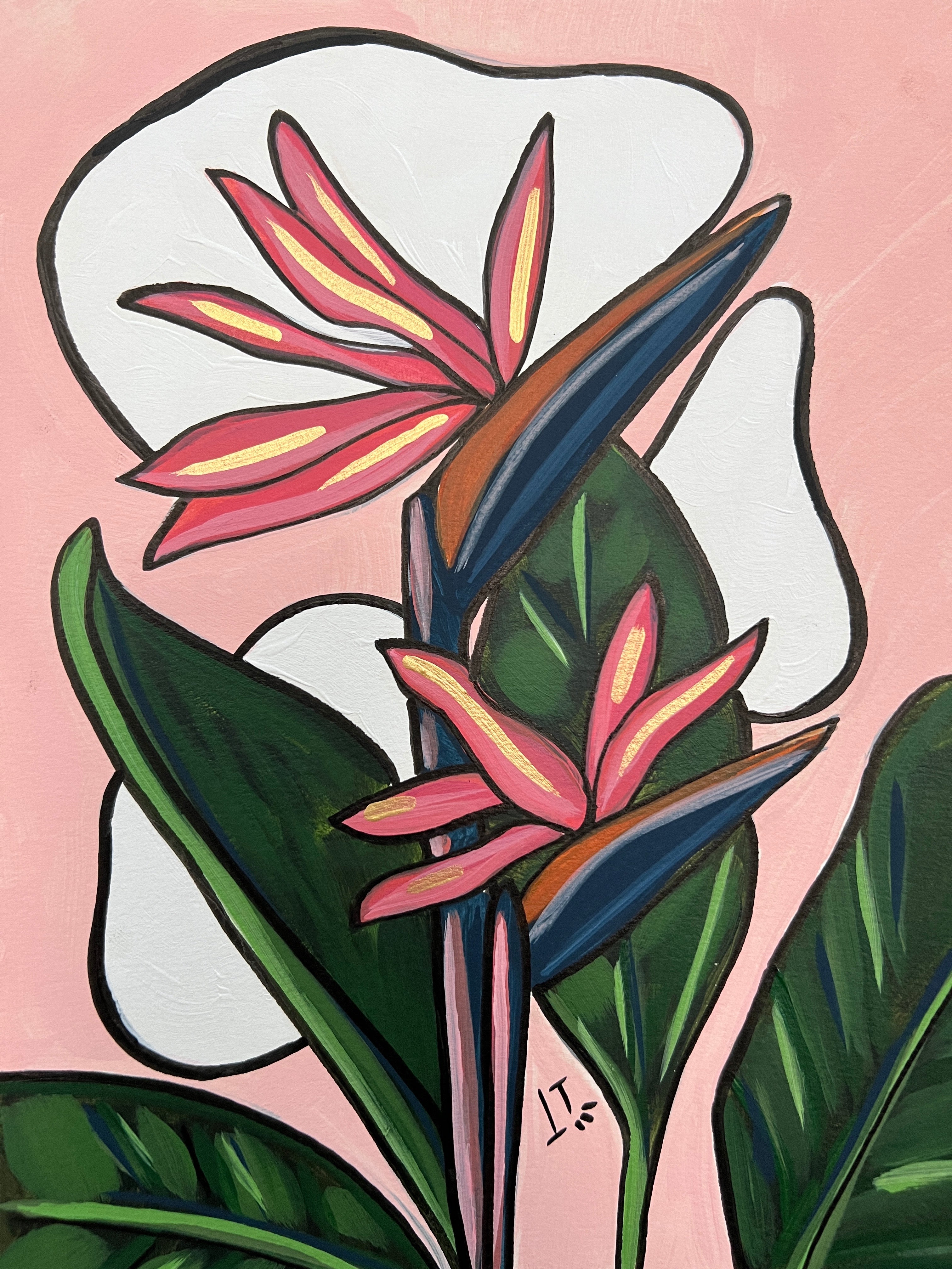 Bird of Paradise in Pink